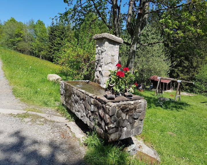 Berggasthof Pension Buhl´s Alpe